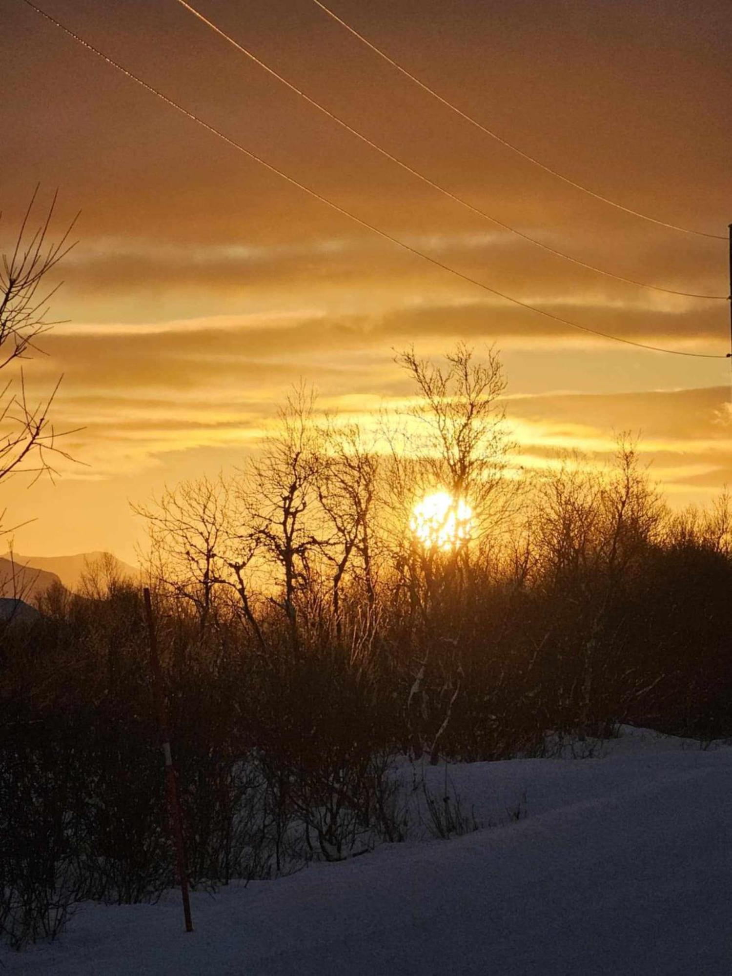 Vila Lykkebo, Skjoldehamnveien 1151, Nygard, Andoy Risoyhamn Exteriér fotografie